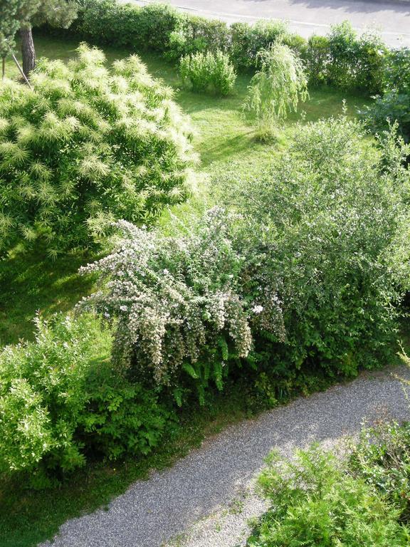 Aux Berges De La Thur Staffelfelden Екстериор снимка